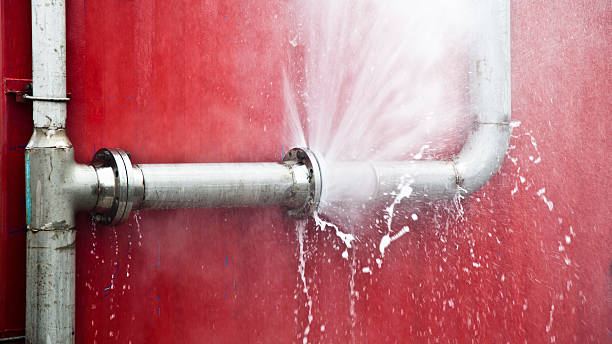 Best Mold removal after water damage  in Glen Allen, VA